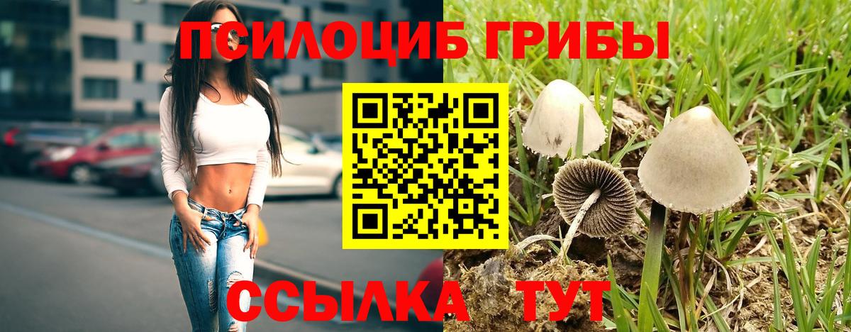 Галлюциногенные грибы прущие грибы Ишимбай